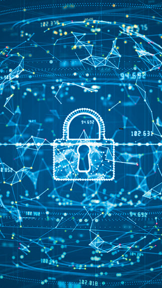 Government IT Compliance Services